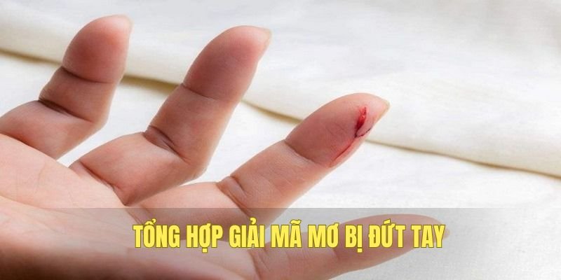 Luận giải số lô đề đánh liên quan tới dao cứa tay